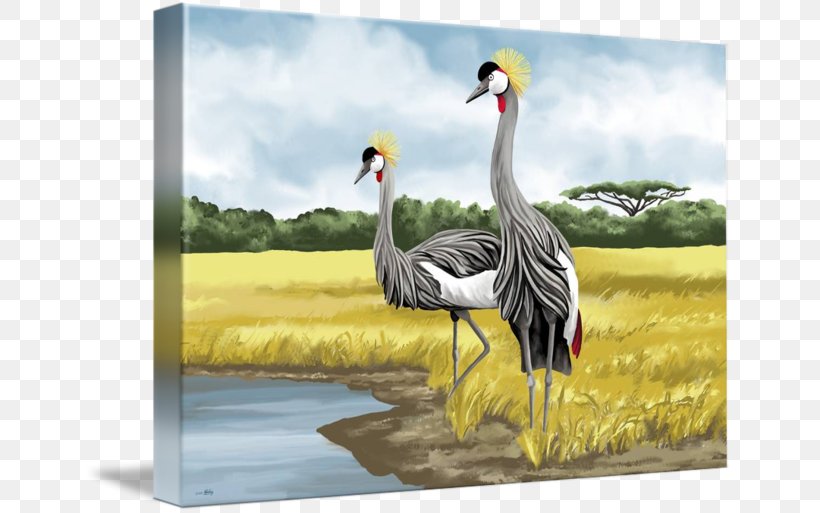 Grey Crowned Crane Bird Art Painting, PNG, 650x513px, Crane, Anatidae, Animal, Art, Beak Download Free