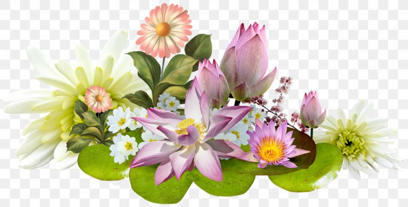 Fleurs Tropicales Flower, PNG, 1280x652px, Fleurs Tropicales, Annual Plant, Cut Flowers, Data Compression, Floral Design Download Free