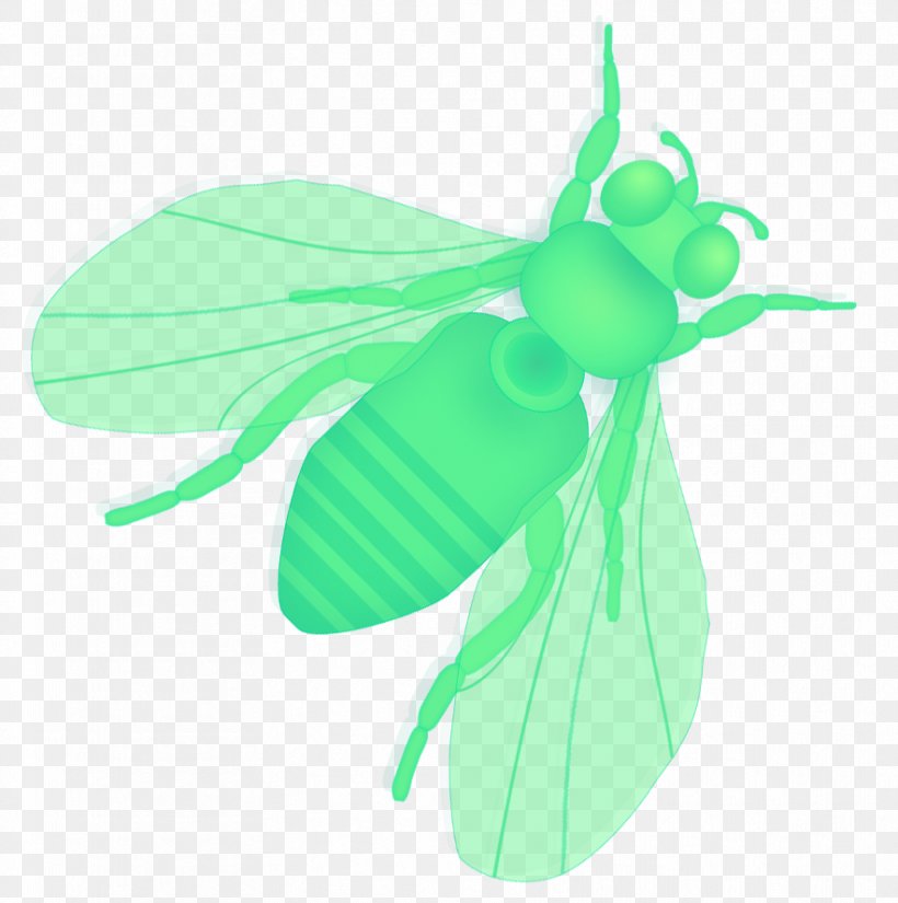 Insect Leaf Clip Art, PNG, 883x889px, Insect, Butterfly, Flower, Green, Invertebrate Download Free