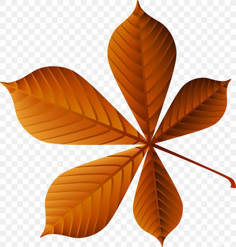 Leaf Raster Graphics Plant Clip Art, PNG, 1146x1200px, Leaf, Green, Orange Sa, Plant, Raster Graphics Download Free