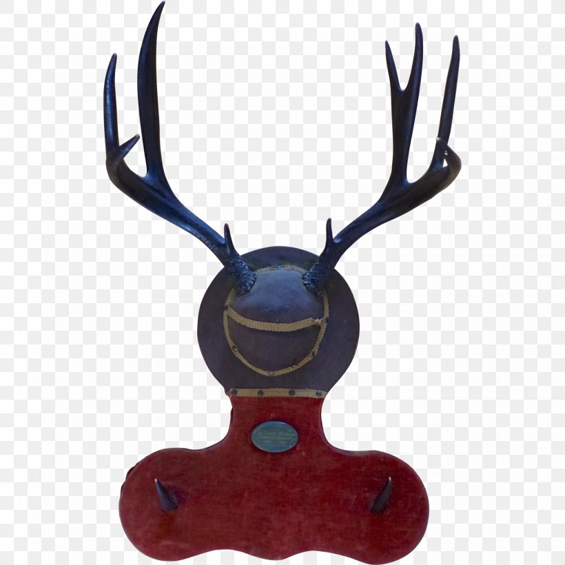 Reindeer Antler, PNG, 1840x1840px, Reindeer, Antler, Deer Download Free