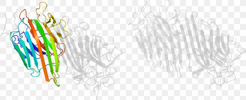 Graphic Design Illustration Product Design Font, PNG, 1229x500px, Typeface, Design M Group, Drawing, Tree Download Free