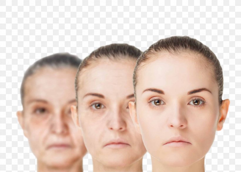 Ageing Life Extension Old Age Rejuvenation Wrinkle, PNG, 2100x1500px, Ageing, Antiaging Cream, Cheek, Chin, Close Up Download Free
