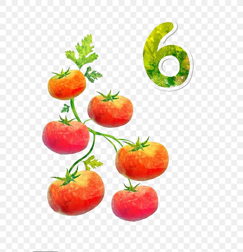 Cartoon Tomato, PNG, 800x850px, Tomato, Art, Auglis, Cartoon, Diet Food Download Free