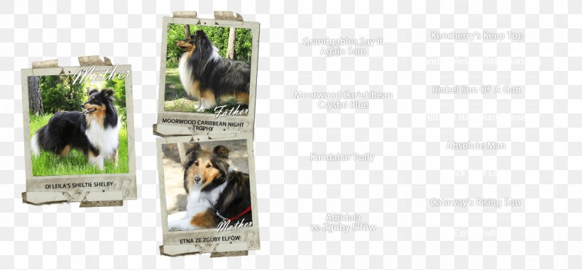 Dog Advertising Brand, PNG, 1260x586px, Dog, Advertising, Brand, Dog Like Mammal Download Free