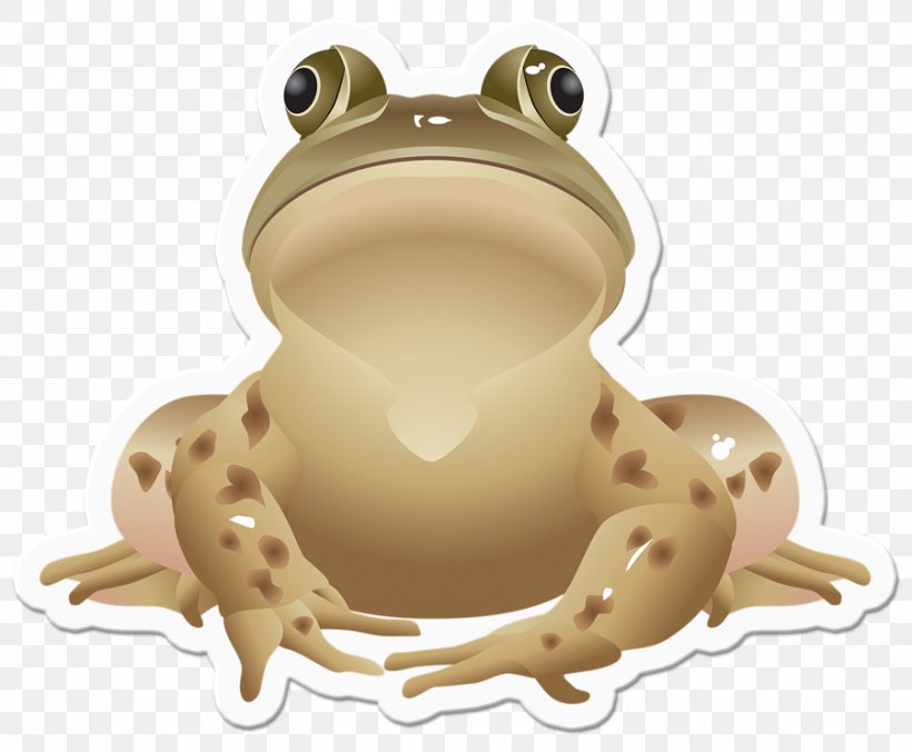 Frog Jumping Contest Southern Brown Tree Frog Clip Art, PNG, 900x743px, Frog, American Bullfrog, Amphibian, Carnivoran, Fauna Download Free