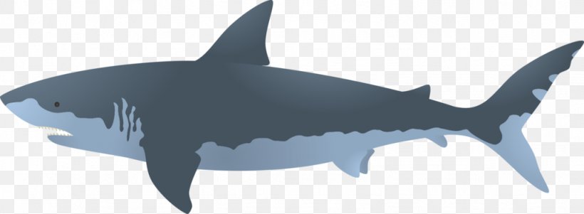 Great White Shark Bull Shark Clip Art, PNG, 1024x376px, Shark, Animal Figure, Blue Shark, Bull Shark, Cartilaginous Fish Download Free