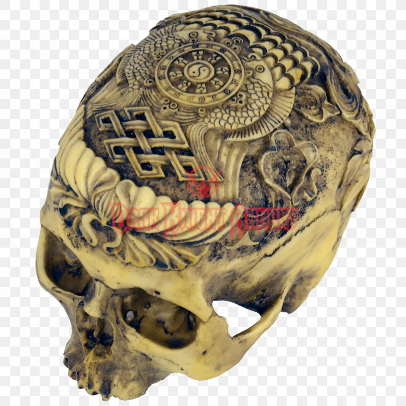 Human Skull Human Skeleton Anatomy, PNG, 850x850px, Skull, Anatomy, Bone, Head, Head And Neck Anatomy Download Free