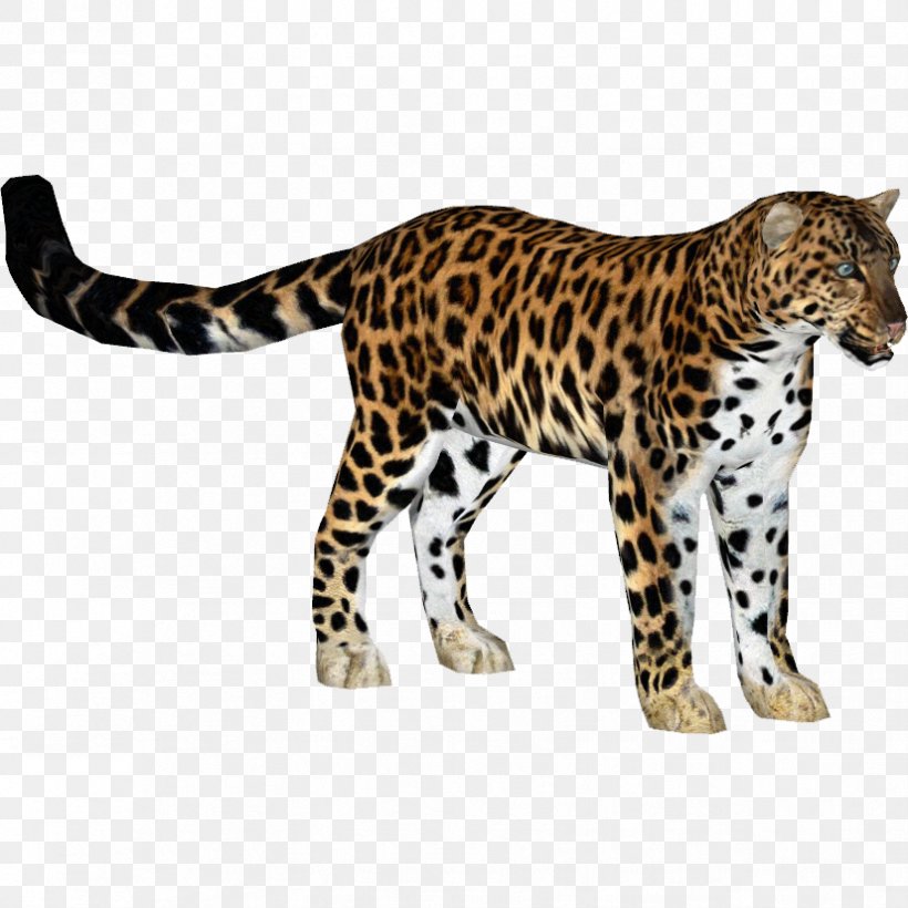 Zoo Tycoon 2 Jaguar Felidae Amur Leopard Cheetah, PNG, 826x826px, Zoo Tycoon 2, Amur Leopard, Animal, Animal Figure, Big Cat Download Free