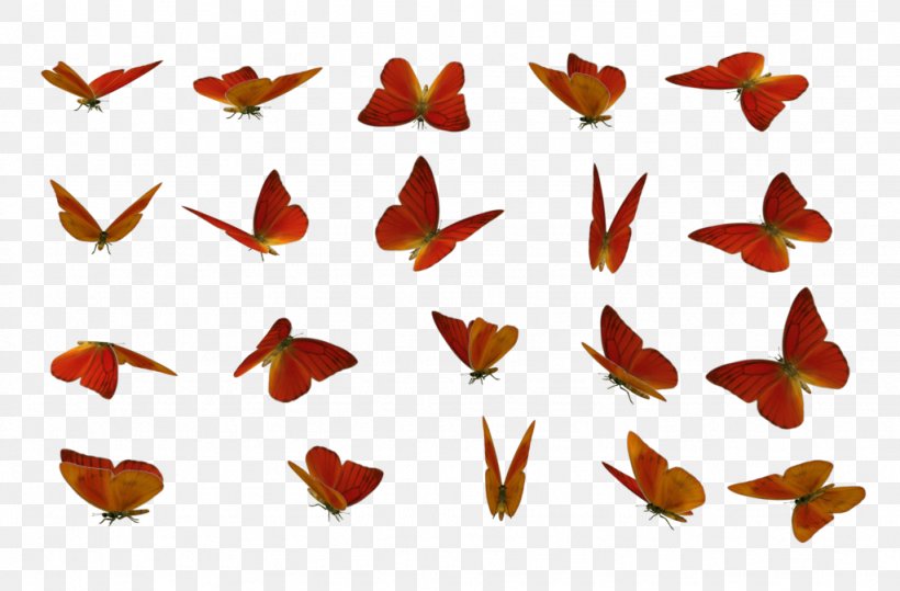 Butterfly Stock Photography Clip Art, PNG, 1024x674px, 3d Computer Graphics, 4 May, Butterfly, Deviantart, Insect Download Free