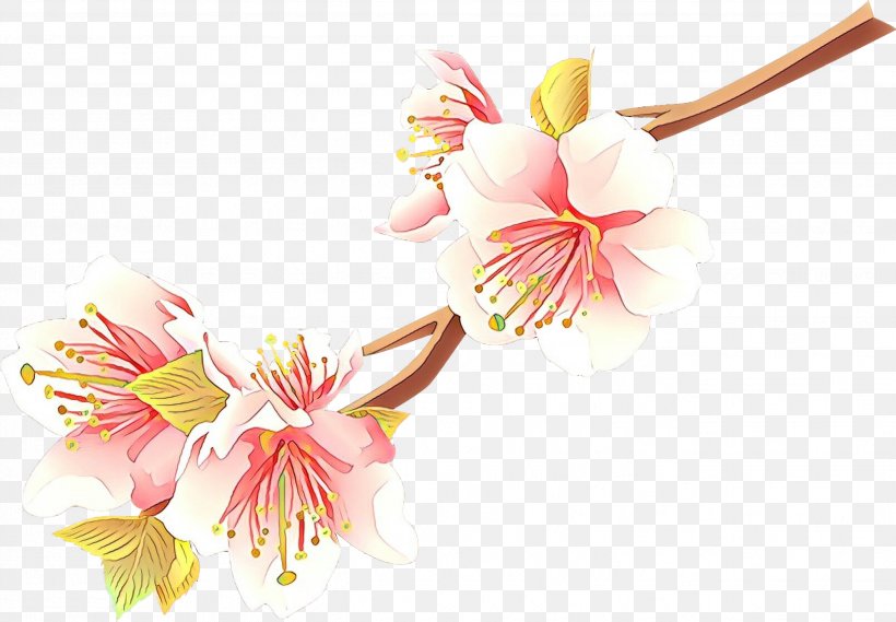 Cherry Blossom, PNG, 2638x1833px, Cartoon, Blossom, Branch, Cherry Blossom, Flower Download Free