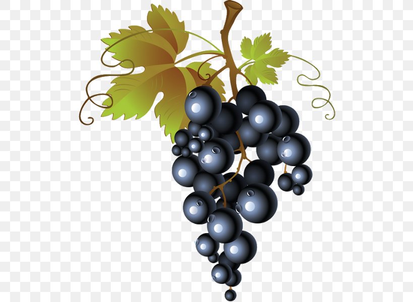 Common Grape Vine Red Wine Grape Leaves, PNG, 527x600px, Common Grape Vine, Berries, Berry, Bilberry, Concord Grape Download Free