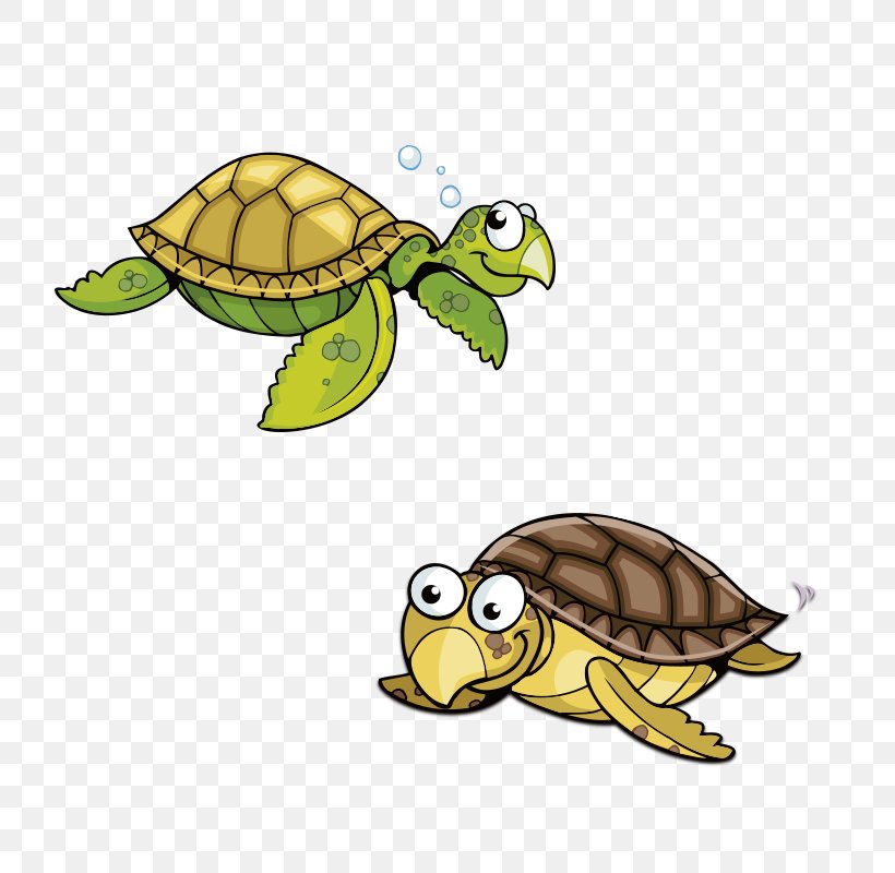 Sea Turtle Animation Cartoon, PNG, 800x800px, Turtle, Animal, Animation, Cartoon, Emydidae Download Free