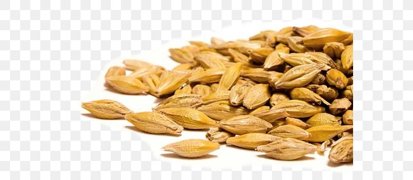 Barley Seed Wheat Grain Coix Lacryma-jobi, PNG, 583x358px, Barley, Animal Feed, Canary Grass, Cereal, Cereal Germ Download Free