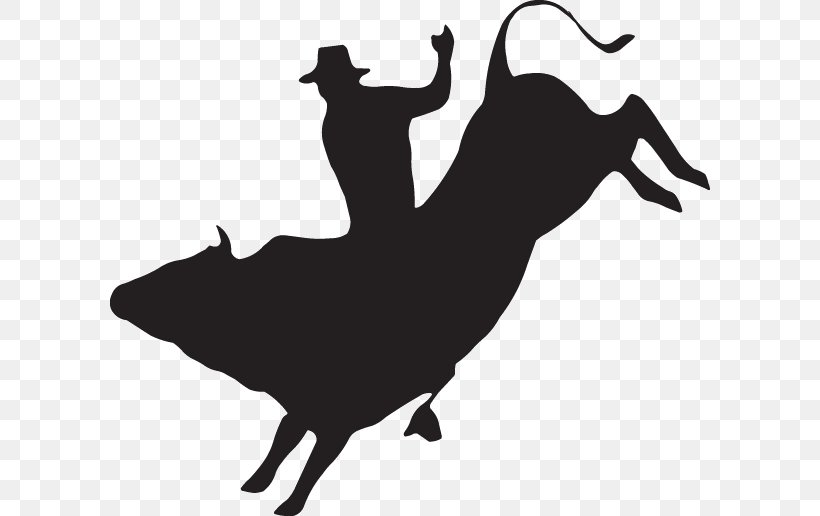 Bull Riding Decal Rodeo Sticker, PNG, 600x516px, Bull Riding, Black, Black And White, Bucking, Bucking Bull Download Free