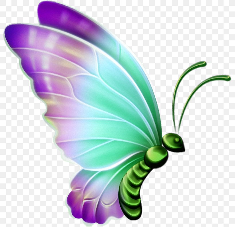 Clip Art Transparency Butterfly Openclipart, PNG, 800x792px, Butterfly, Art, Drawing, Glasswing Butterfly, Insect Download Free