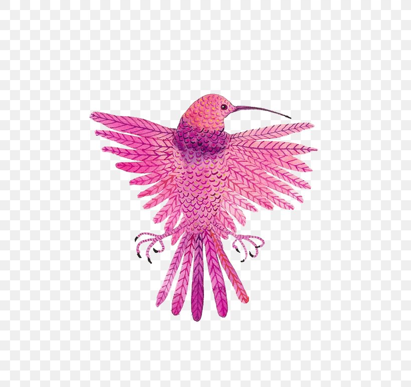 Hummingbird Drawing, PNG, 564x773px, Hummingbird, Animal, Beak, Bird, Cartoon Download Free