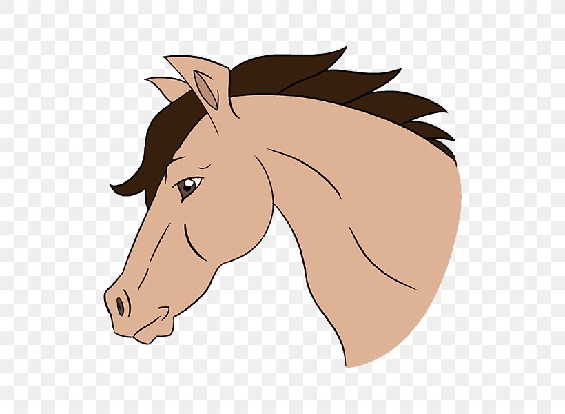Mustang Cob How To Draw A Horse Drawing Sketch, PNG, 678x600px, Mustang, Animated Cartoon, Art, Bridle, Cartoon Download Free