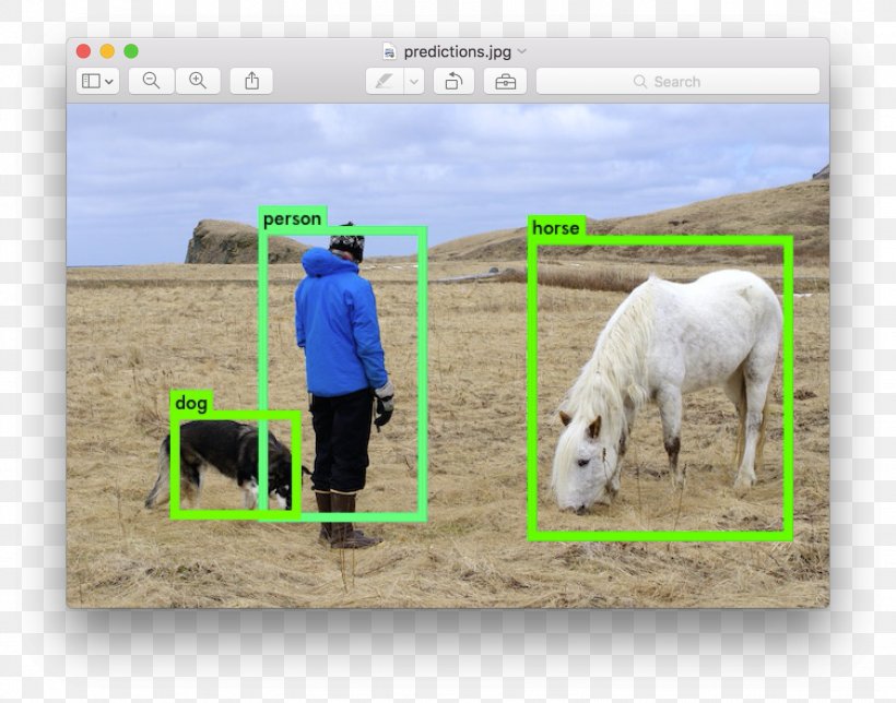 Object Detection Deep Learning Pedestrian Detection TensorFlow Convolutional Neural Network, PNG, 1504x1182px, Object Detection, Artificial Neural Network, Cattle Like Mammal, Computer Vision, Convolutional Neural Network Download Free