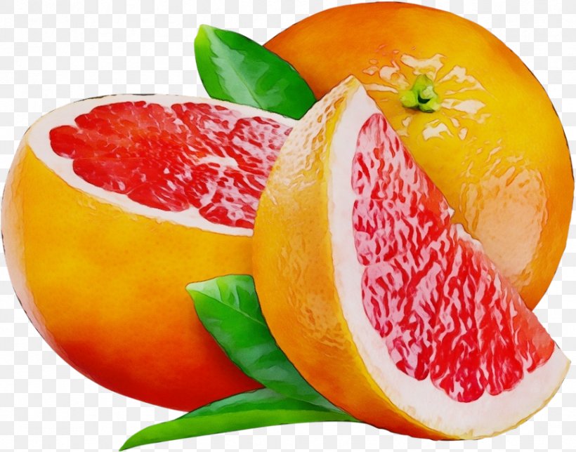 Orange, PNG, 867x681px, Watercolor, Citrus, Food, Fruit, Grapefruit Download Free