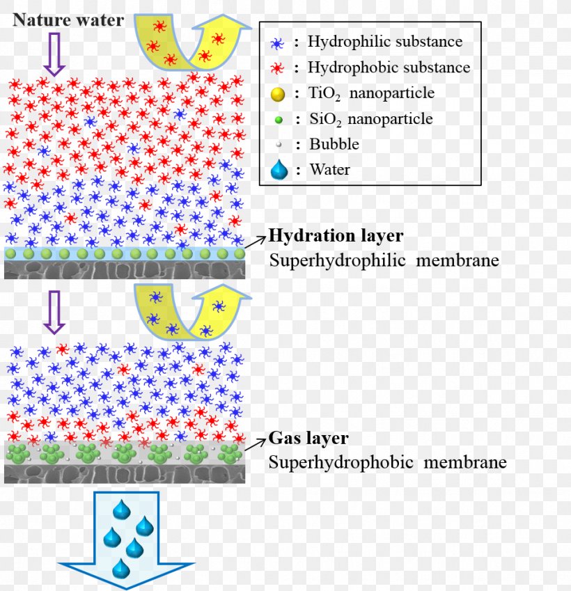 Organic Matter Nanofiltration Superhydrophilicity Hydrophile Membrane, PNG, 966x1001px, Organic Matter, Area, Behavior, Diagram, Fouling Download Free