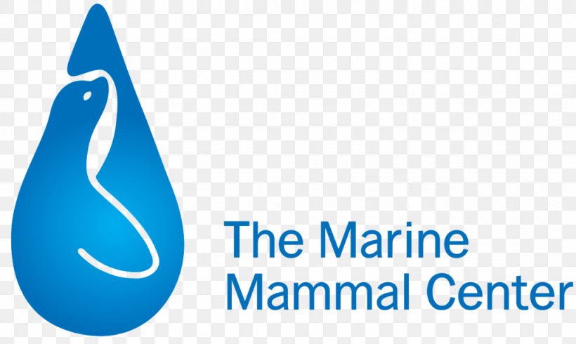 The Marine Mammal Center Sea Lion Ocean, PNG, 1024x612px, Marine Mammal Center, Anatomy, Brand, California Sea Lion, Cetacea Download Free