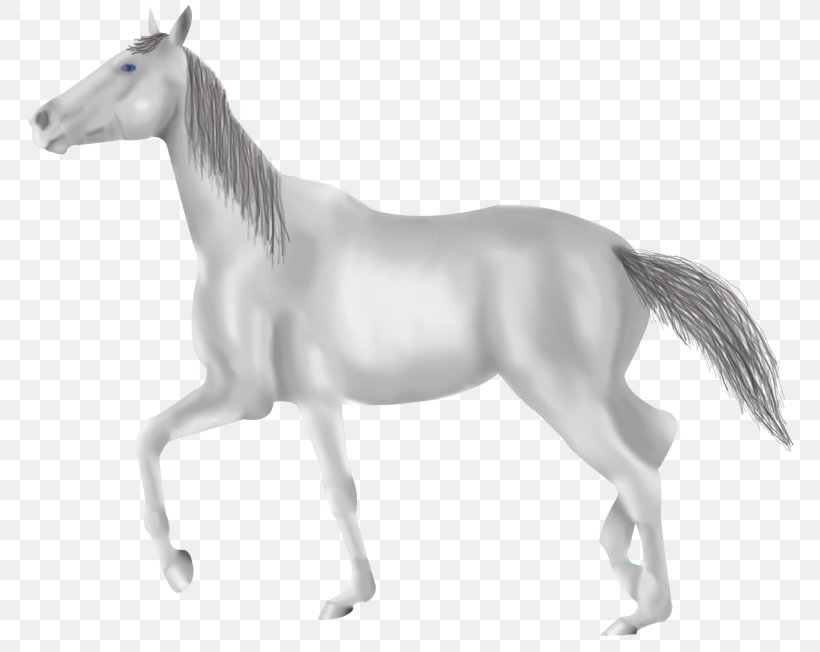Mane Mustang Foal Mare Stallion, PNG, 800x652px, Mane, Animal Figure, Black And White, Character, Fictional Character Download Free