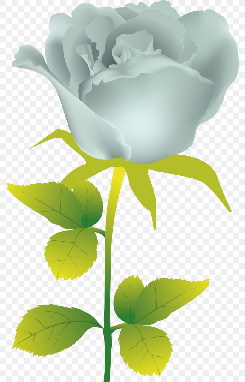 Rose Flower Painting, PNG, 781x1280px, Rose, Blue Rose, Bud, Cut Flowers, Flora Download Free