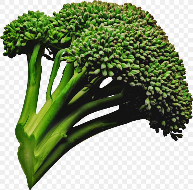 Vegetables Cartoon, PNG, 2093x2057px, Cauliflower, Broccoflower, Broccoli, Cabbage, Cruciferous Vegetables Download Free