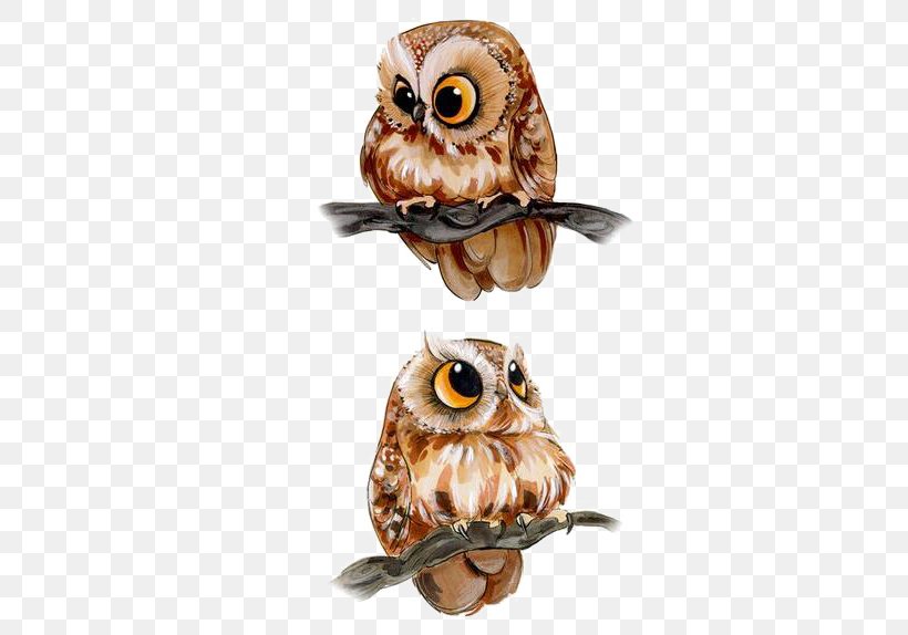 Barn Owl Drawing Bird Clip Art, PNG, 524x574px, Watercolor, Cartoon, Flower, Frame, Heart Download Free