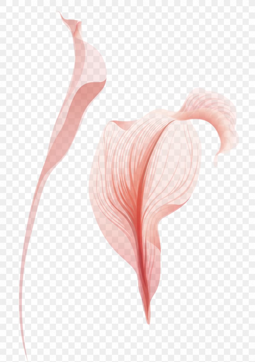 Shoulder Heart Petal Muscle Pattern, PNG, 842x1195px, Watercolor, Cartoon, Flower, Frame, Heart Download Free