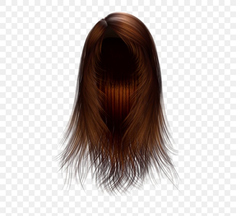 Hair Computer Software Clip Art, PNG, 500x750px, Hair, Brown Hair, Capelli, Caramel Color, Computer Software Download Free