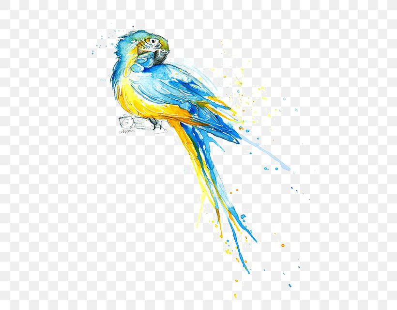 Parrot Watercolor Painting Drawing Illustration, PNG, 484x640px, Parrot, Art, Beak, Bird, Blueandyellow Macaw Download Free