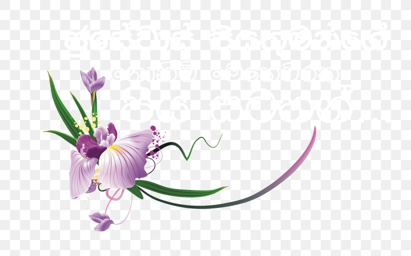 Petal Floral Design Plant Stem Violet, PNG, 741x512px, Petal, Blume, Computer, Computer Font, Flora Download Free
