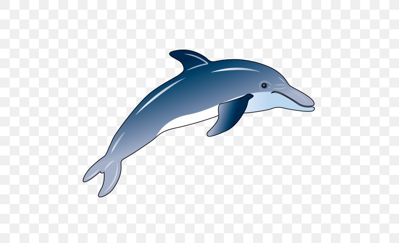 Wholphin Common Bottlenose Dolphin Rough-toothed Dolphin Short-beaked Common Dolphin Tucuxi, PNG, 500x500px, Wholphin, Cartoon, Common Bottlenose Dolphin, Dolphin, Fauna Download Free