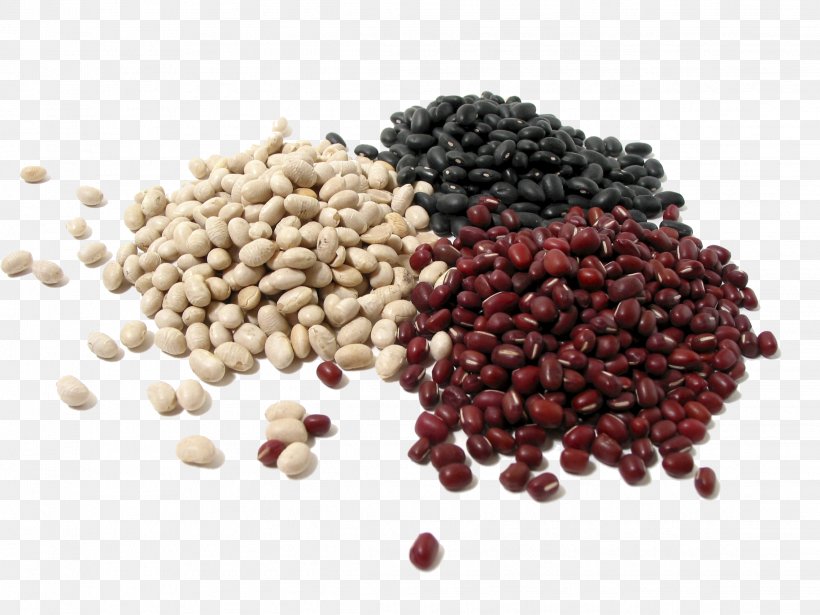 Bean Nut Dried Fruit Protein Seed, PNG, 2272x1704px, Bean, Azuki Bean, Black Turtle Bean, Chia Seed, Coffee Bean Download Free