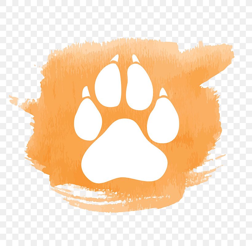 Cat Dog Footprint Watercolor Painting, PNG, 800x800px, Cat, Animal Track, Carnivoran, Dog, Dog Food Download Free