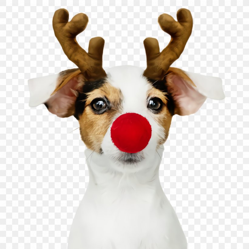 Cute Dog, PNG, 2000x2000px, Cute Dog, Animal, Antler, Costume, Cuteness Download Free