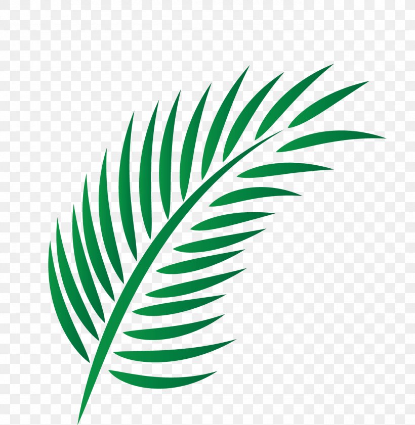 Leaf Arecaceae, PNG, 1384x1420px, Leaf, Arecaceae, Date Palm, Feather, Green Download Free