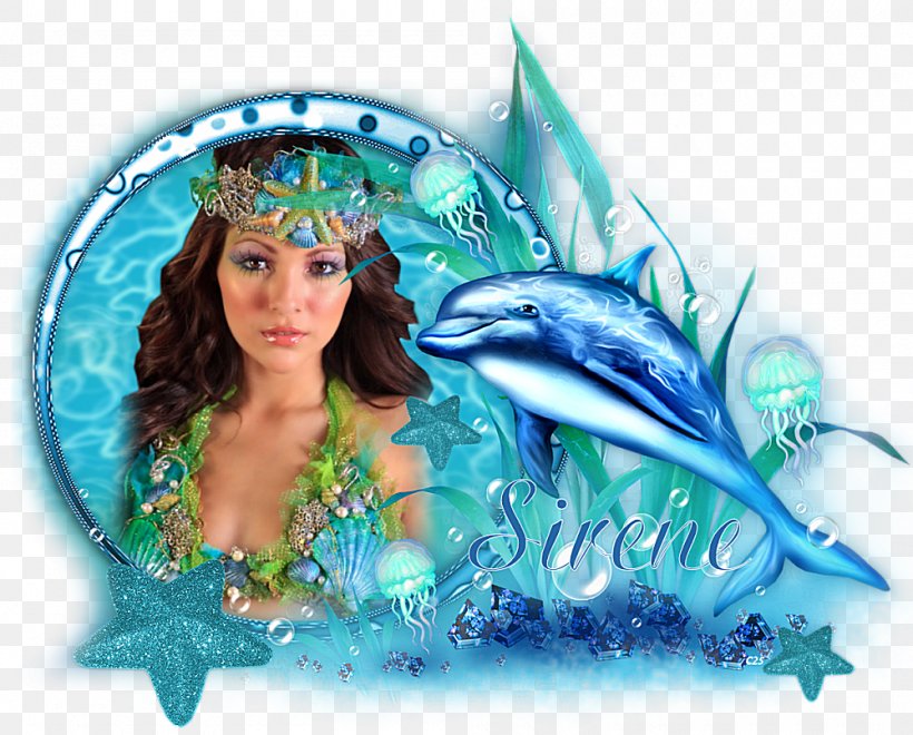 Picture Frames Dolphin Photography Image Adobe Photoshop, PNG, 1000x806px, Picture Frames, Collage, Decoupage, Dolphin, Fictional Character Download Free
