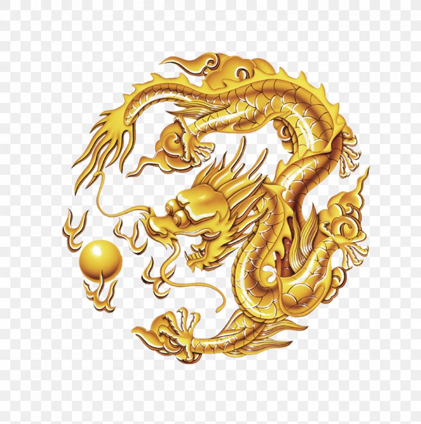 China Draco Dragon Home Loans Pty Ltd, PNG, 847x853px, China, Chinese Mythology, Draco, Dragon, Dragon Home Loans Pty Ltd Download Free