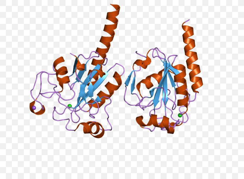 GPX3 Glutathione Peroxidase Gene Enzyme GPX4, PNG, 800x600px, Glutathione Peroxidase, Apolipoprotein, Art, Enzyme, Gene Download Free