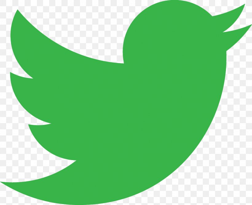 Logo Green Social Social Media 0 NYSE:TWTR, PNG, 1139x926px, 2018, Logo, Beak, Color, Grass Download Free