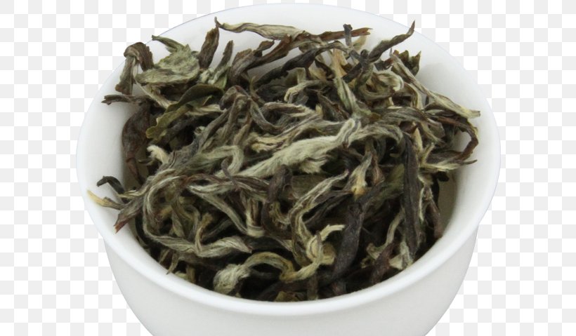 Nilgiri Tea White Tea Dianhong Hōjicha, PNG, 772x479px, Nilgiri Tea, Assam Tea, Bai Mudan, Baihao Yinzhen, Bancha Download Free