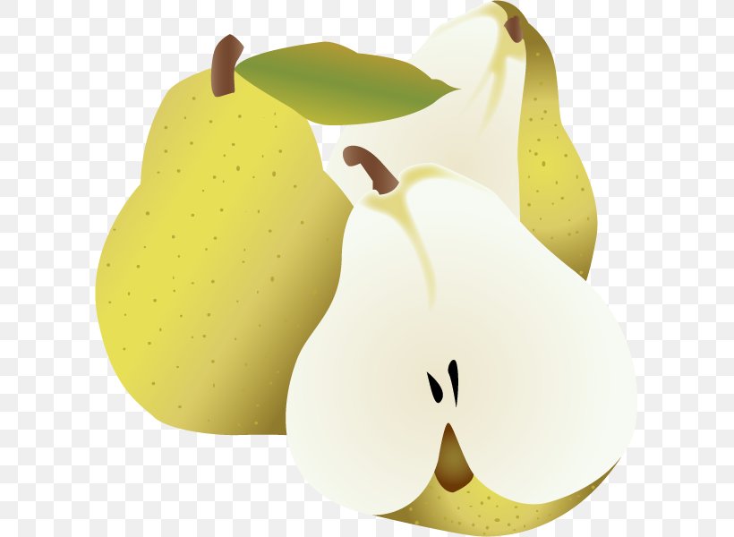 Pear Euclidean Vector, PNG, 607x600px, Pear, Apple, Auglis, Food, Fruit Download Free