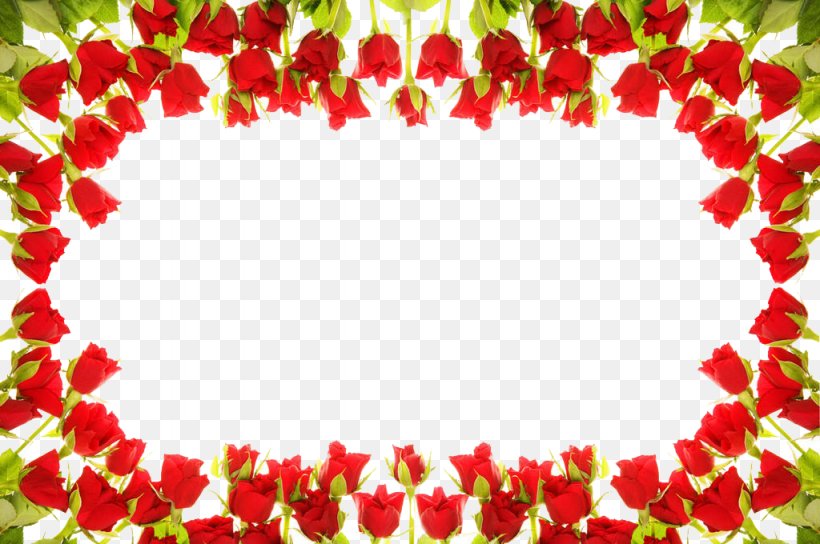 Picture Frame Download Stock Photography, PNG, 1024x680px, Picture Frame, Film Frame, Floral Design, Floristry, Flower Download Free