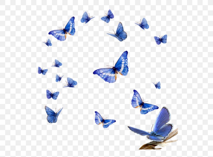 Butterfly Clip Art, PNG, 600x604px, Butterfly, Adobe Fireworks, Blue, Cobalt Blue, Insect Download Free
