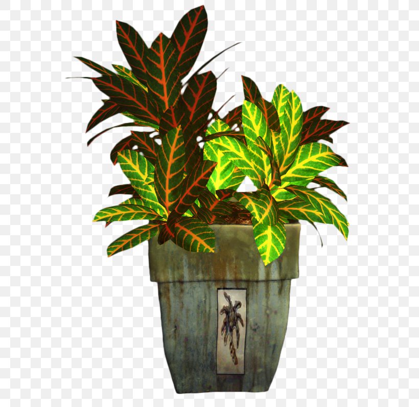 Leaf Clip Art Tree Greens, PNG, 599x796px, Leaf, Anthurium, Arecales, Curly Kale, Floral Design Download Free