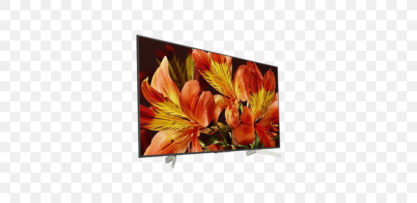 Sony XF8505 Sony X85F Smart TV 4K Resolution LED-backlit LCD, PNG, 676x400px, 4k Resolution, Smart Tv, Bravia, Cut Flowers, Floral Design Download Free