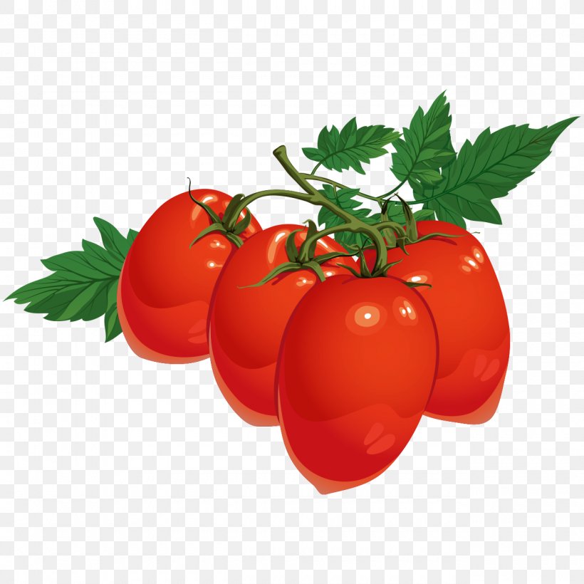Cherry Tomato Tomato Juice Vector Graphics Vegetable Pear Tomato, PNG, 1280x1280px, Cherry Tomato, Bush Tomato, Diet Food, Drawing, Food Download Free